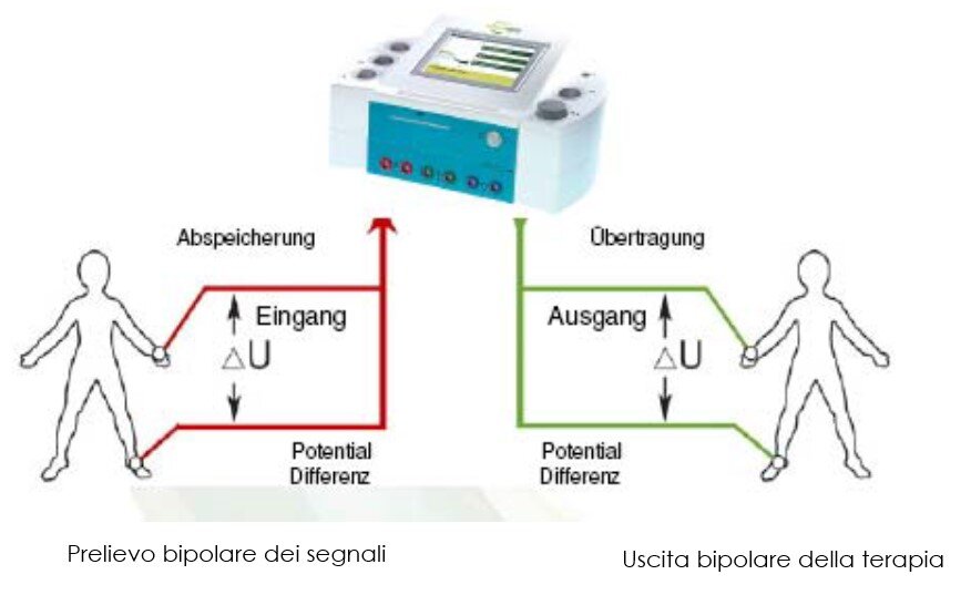 Vegaselect Wegaselect